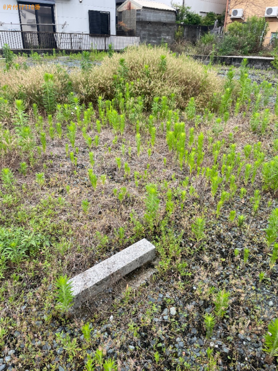 草抜き作業ご依頼　お客様の声