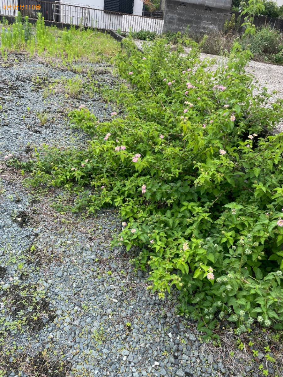 草抜き作業ご依頼　お客様の声